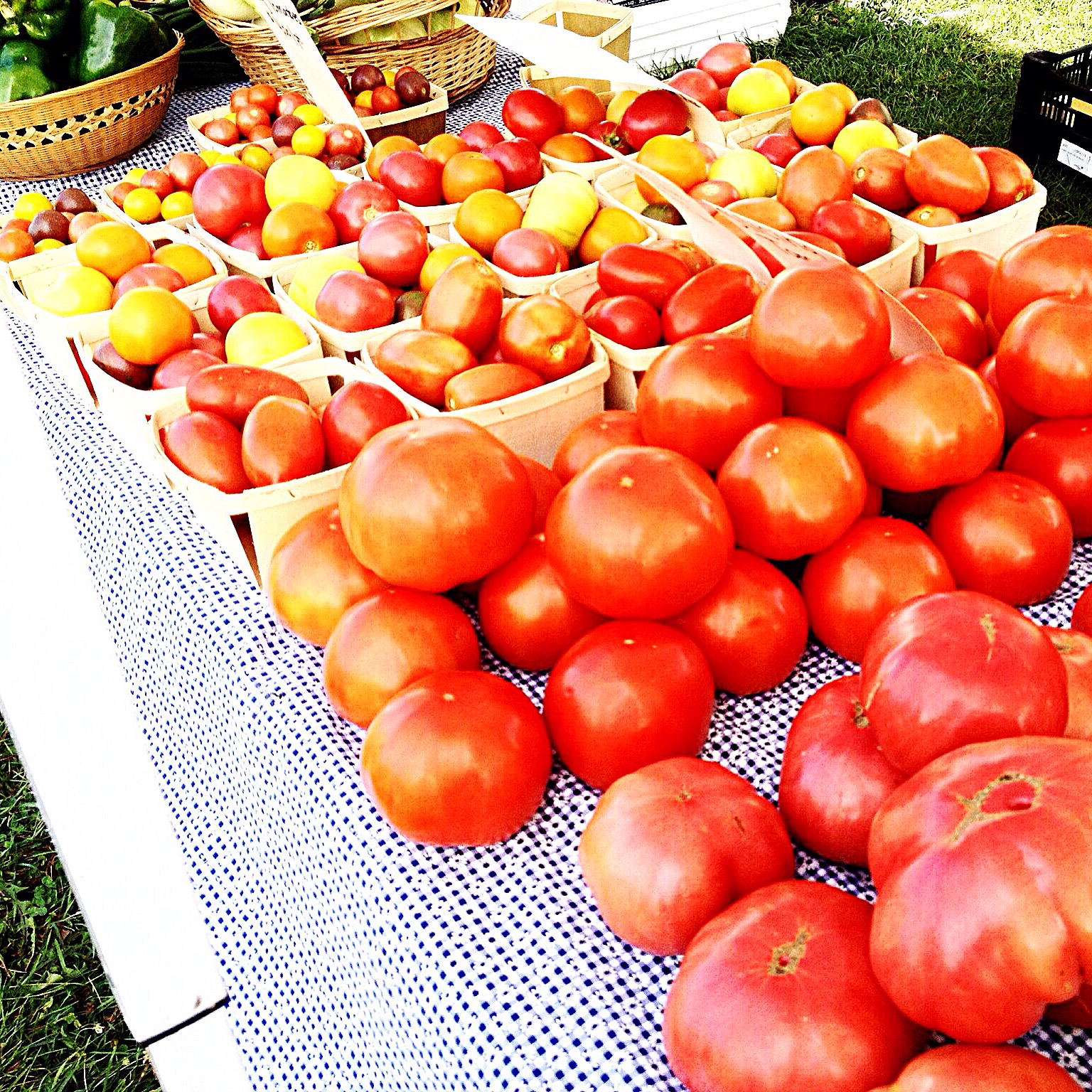 baskets of ripe tomatoes fill a table at the farmers market