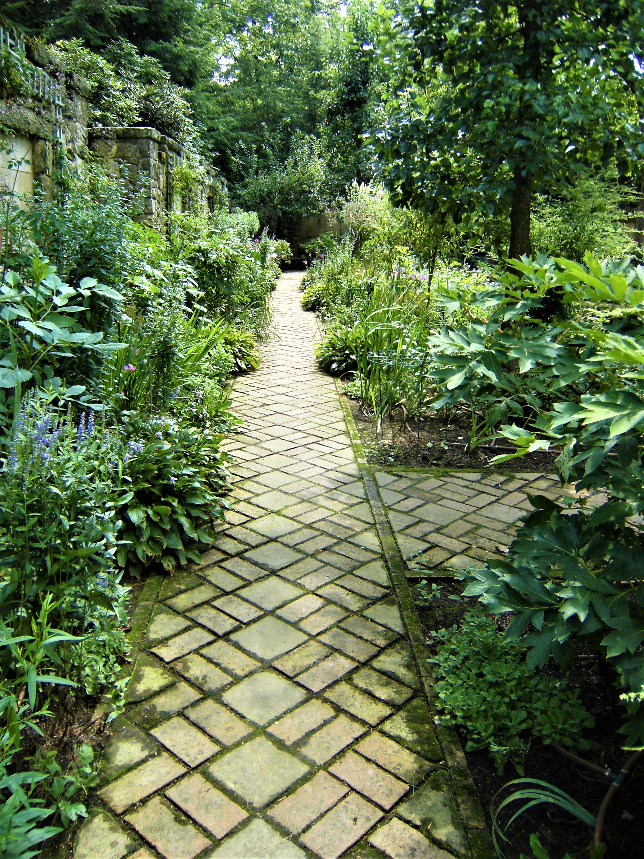 A brick path, set on the diagonal. leads through leafy green plant borders