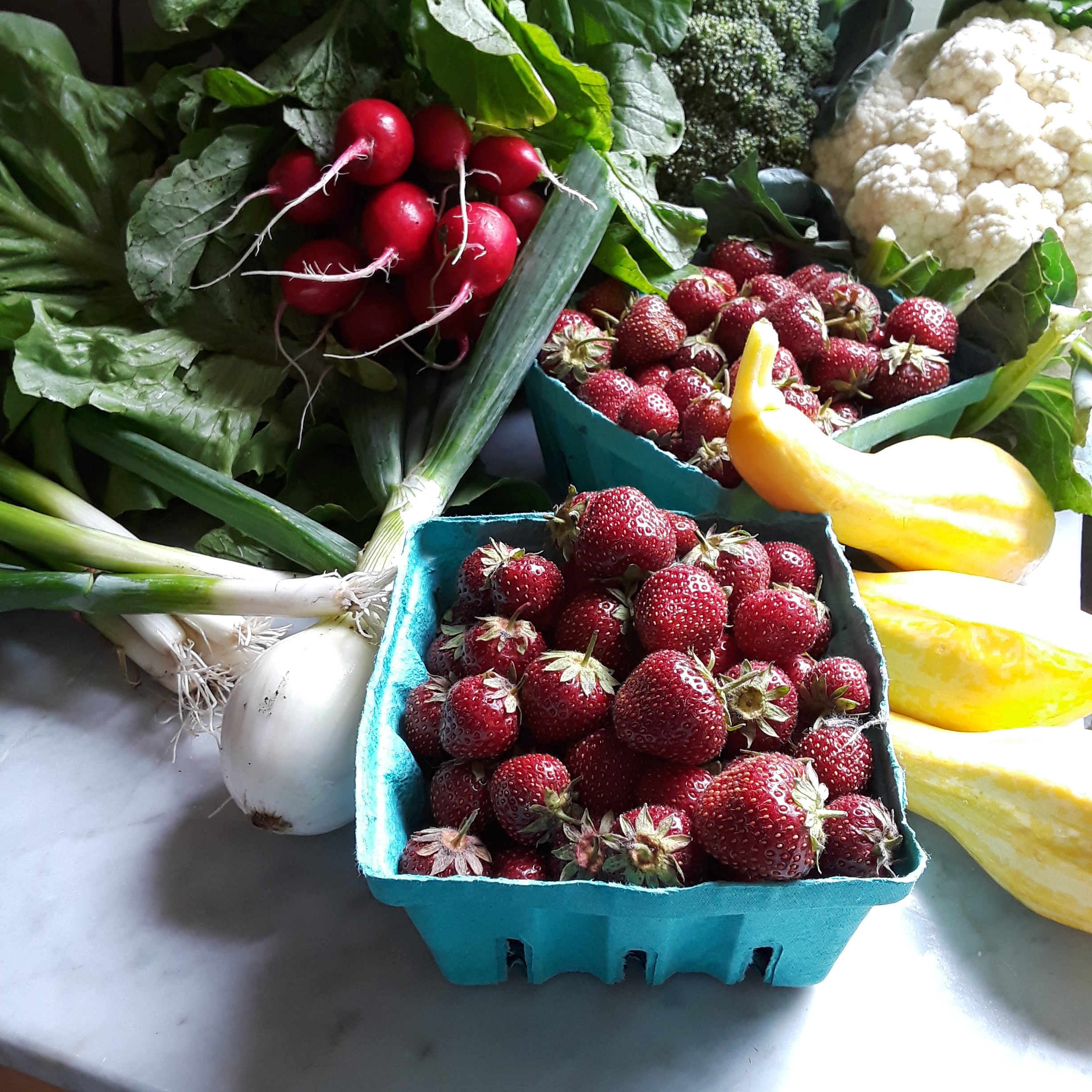 Photo of onion, radishes, cauliflower, broccoli, squash, and strawberries