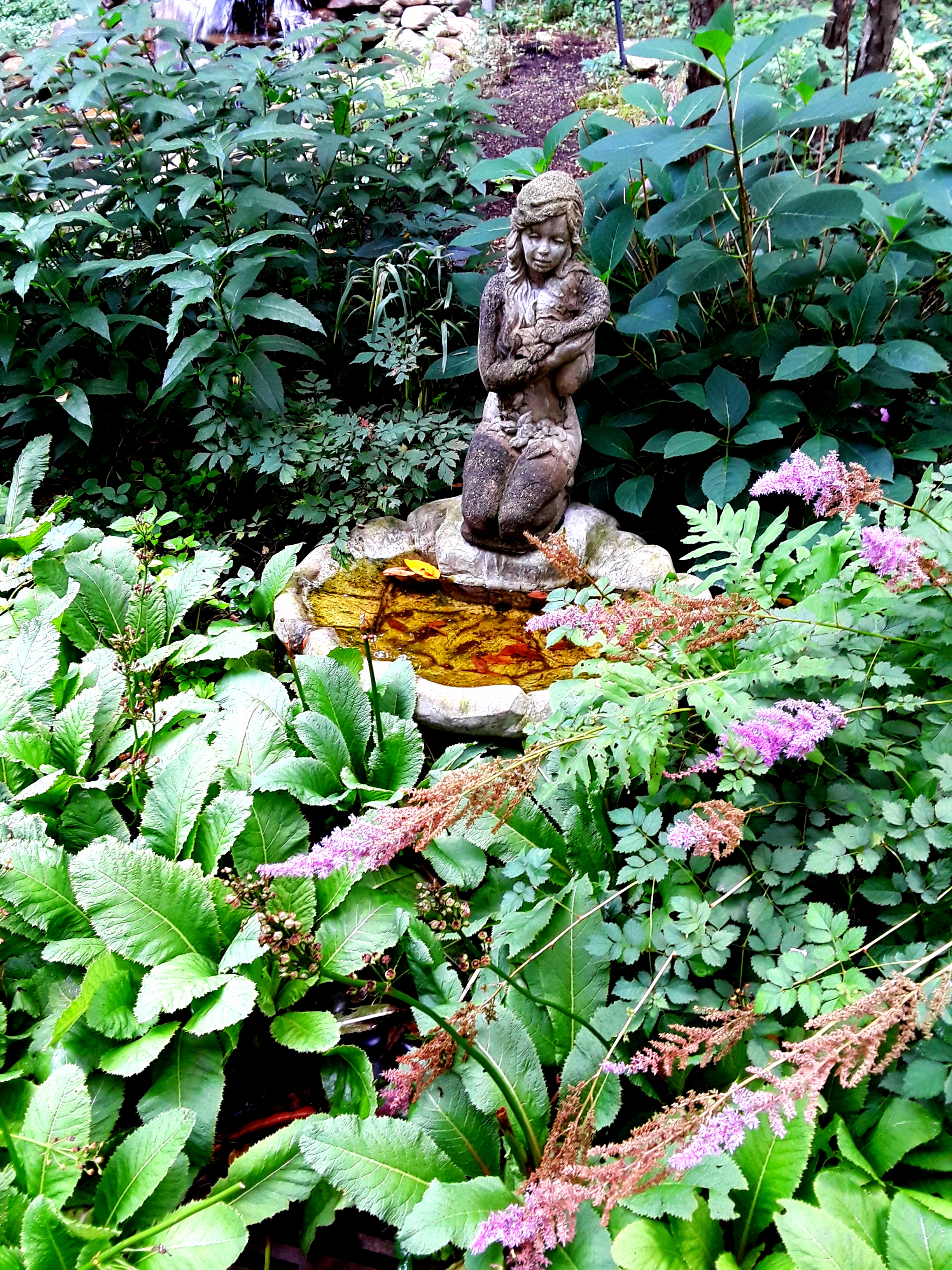 A fountain among primroses and astilbe