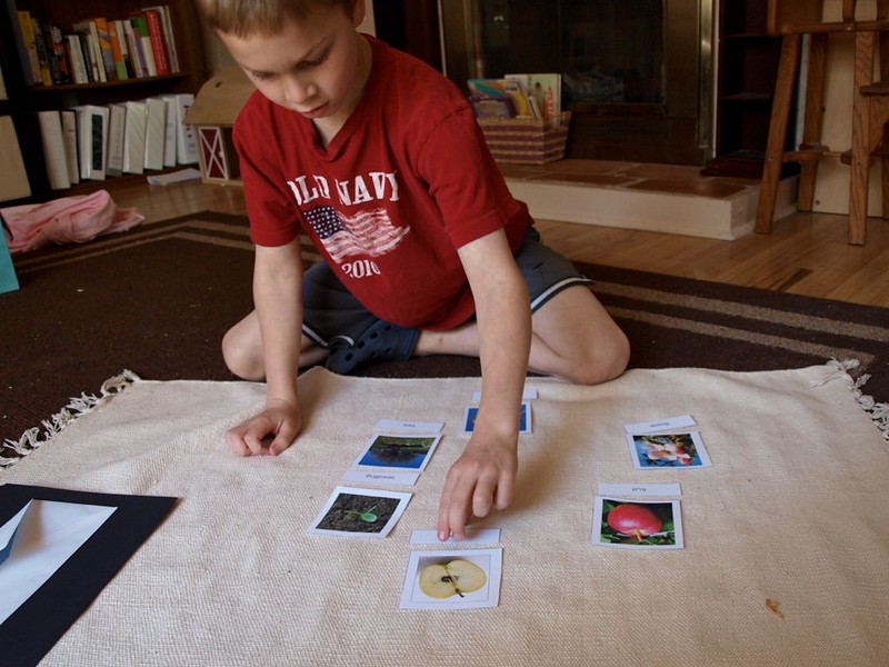 A boy matches word cards to picture cards.