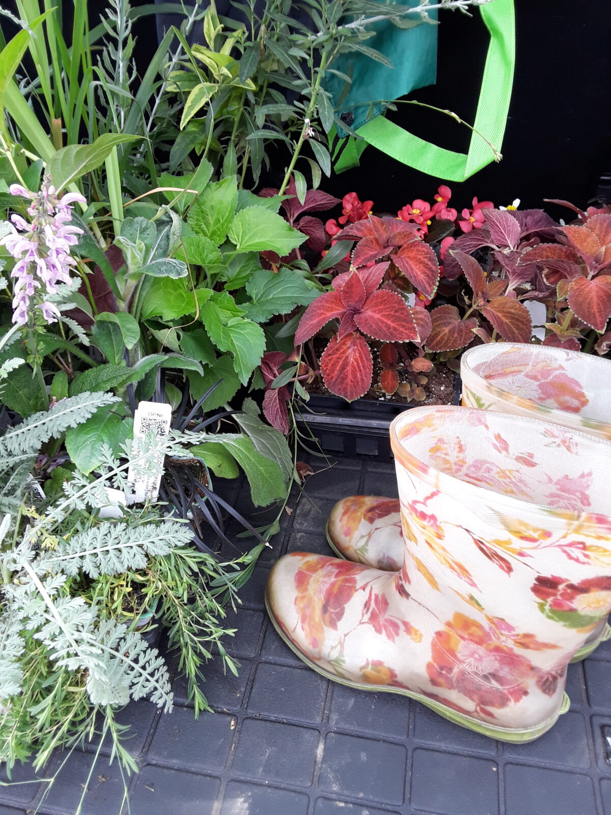 gardening-archives-ajoann