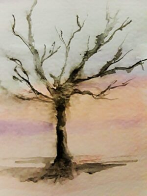 Watercolor picture of leafless elm silhouetted against sunset sky